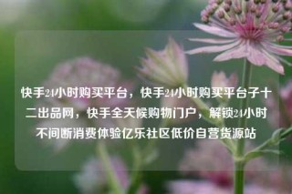 快手24小时购买平台,快手24小时购买平台子十二出品网,快手全天候购物门户,解锁24小时不间断消费体验亿乐社区低价自营货源站