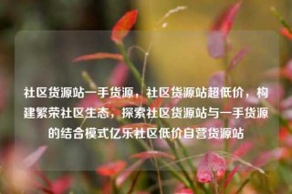 社区货源站一手货源,社区货源站超低价,构建繁荣社区生态,探索社区货源站与一手货源的结合模式亿乐社区低价自营货源站