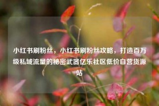 小红书刷粉丝,小红书刷粉丝攻略,打造百万级私域流量的秘密武器亿乐社区低价自营货源站