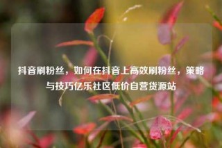 抖音刷粉丝,如何在抖音上高效刷粉丝,策略与技巧亿乐社区低价自营货源站