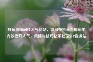 抖音直播间挂人气网站,如何在抖音直播间中有效提升人气,策略与技巧亿乐社区SUP货源站
