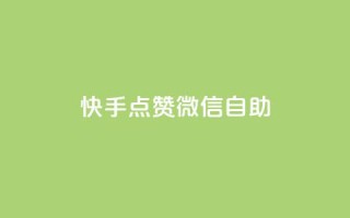 快手点赞微信自助 - 快手点赞与微信自助操作全指南!