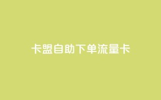 卡盟自助下单流量卡 - 如何购买自助下单流量卡?SEO编辑带你一步步了解!