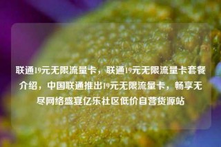联通19元无限流量卡,联通19元无限流量卡套餐介绍,中国联通推出19元无限流量卡,畅享无尽网络盛宴亿乐社区低价自营货源站