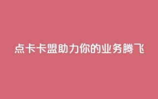 点卡卡盟:助力你的业务腾飞