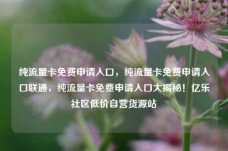 纯流量卡免费申请入口,纯流量卡免费申请入口联通,纯流量卡免费申请入口大揭秘!亿乐社区低价自营货源站