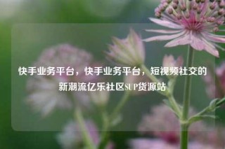 快手业务平台，快手业务平台，短视频社交的新潮流亿乐社区SUP货源站