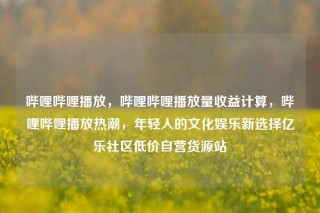 哔哩哔哩播放,哔哩哔哩播放量收益计算,哔哩哔哩播放热潮,年轻人的文化娱乐新选择亿乐社区低价自营货源站