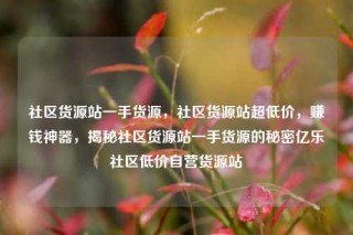 社区货源站一手货源,社区货源站超低价,赚钱神器,揭秘社区货源站一手货源的秘密亿乐社区低价自营货源站