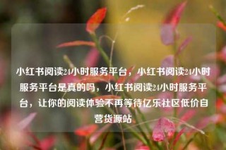 小红书阅读24小时服务平台,小红书阅读24小时服务平台是真的吗,小红书阅读24小时服务平台,让你的阅读体验不再等待亿乐社区低价自营货源站