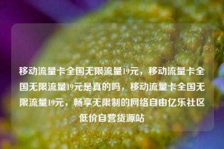 移动流量卡全国无限流量19元,移动流量卡全国无限流量19元是真的吗,移动流量卡全国无限流量19元,畅享无限制的网络自由亿乐社区低价自营货源站