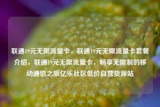 联通19元无限流量卡,联通19元无限流量卡套餐介绍,联通19元无限流量卡,畅享无限制的移动通信之旅亿乐社区低价自营货源站