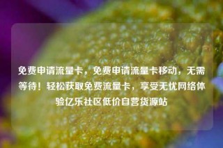 免费申请流量卡,免费申请流量卡移动,无需等待!轻松获取免费流量卡,享受无忧网络体验亿乐社区低价自营货源站