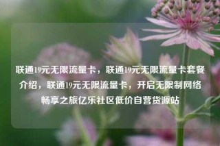 联通19元无限流量卡,联通19元无限流量卡套餐介绍,联通19元无限流量卡,开启无限制网络畅享之旅亿乐社区低价自营货源站