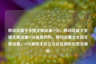 移动流量卡全国无限流量19元,移动流量卡全国无限流量19元是真的吗,移动流量卡全国无限流量,19元畅享无忧亿乐社区低价自营货源站