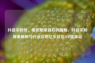 抖音买粉丝,虚拟繁荣背后的真相,抖音买粉现象解析与行业反思亿乐社区SUP货源站