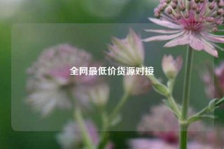 全网最低价货源对接