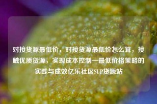 对接货源最低价,对接货源最低价怎么算,接触优质货源,实现成本控制—最低价格策略的实践与成效亿乐社区SUP货源站