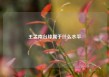 王孟南台球属于什么水平