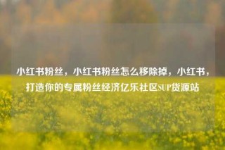 小红书粉丝,小红书粉丝怎么移除掉,小红书,打造你的专属粉丝经济亿乐社区SUP货源站