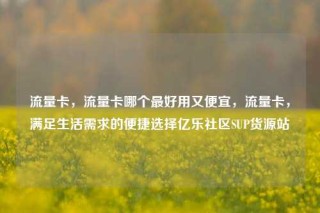 流量卡,流量卡哪个最好用又便宜,流量卡,满足生活需求的便捷选择亿乐社区SUP货源站