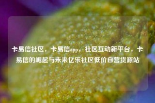 卡易信社区，卡易信app，社区互动新平台，卡易信的崛起与未来亿乐社区低价自营货源站