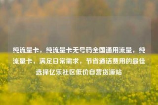 纯流量卡,纯流量卡无号码全国通用流量,纯流量卡,满足日常需求,节省通话费用的最佳选择亿乐社区低价自营货源站