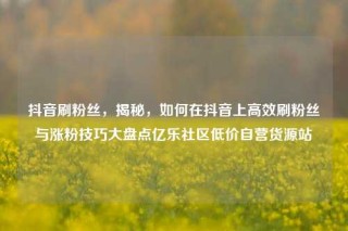 抖音刷粉丝,揭秘,如何在抖音上高效刷粉丝与涨粉技巧大盘点亿乐社区低价自营货源站