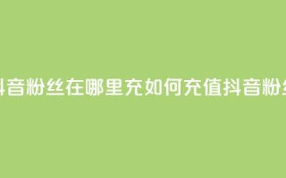 抖音粉丝在哪里充(如何充值抖音粉丝?)