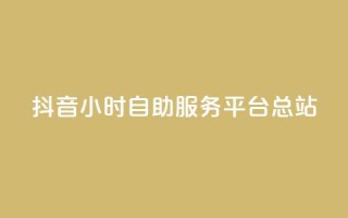 抖音24小时自助服务平台总站 - 抖音全天候自助服务平台一站式解决方案!