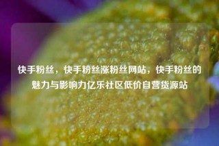 快手粉丝,快手粉丝涨粉丝网站,快手粉丝的魅力与影响力亿乐社区低价自营货源站