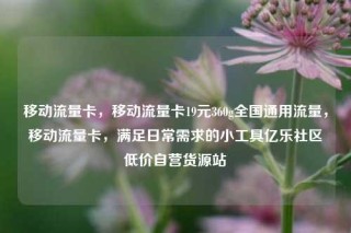 移动流量卡,移动流量卡19元360g全国通用流量,移动流量卡,满足日常需求的小工具亿乐社区低价自营货源站