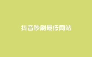 抖音秒刷最低网站 - 抖音秒刷服务最低价网站推荐!
