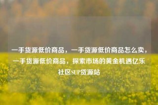 一手货源低价商品,一手货源低价商品怎么卖,一手货源低价商品,探索市场的黄金机遇亿乐社区SUP货源站