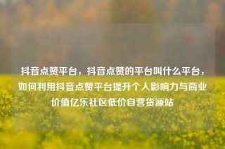 抖音点赞平台,抖音点赞的平台叫什么平台,如何利用抖音点赞平台提升个人影响力与商业价值亿乐社区低价自营货源站