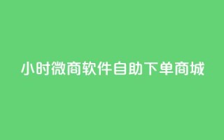 24小时微商软件自助下单商城 - 24小时自助下单微商商城软件推荐!