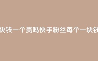 快手粉丝一块钱一个贵吗 - 快手粉丝每个一块钱贵吗？。