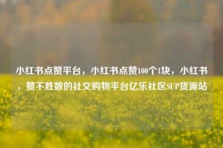 小红书点赞平台,小红书点赞100个1块,小红书,赞不胜数的社交购物平台亿乐社区SUP货源站