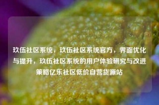 玖伍社区系统,玖伍社区系统官方,界面优化与提升,玖伍社区系统的用户体验研究与改进策略亿乐社区低价自营货源站