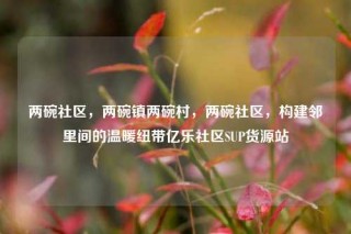 两碗社区,两碗镇两碗村,两碗社区,构建邻里间的温暖纽带亿乐社区SUP货源站
