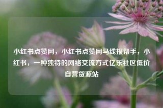 小红书点赞网,小红书点赞网马线报帮手,小红书,一种独特的网络交流方式亿乐社区低价自营货源站