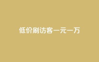 低价刷访客一元一万 - 高效提升网站流量的低价方式,每万访客仅需一元~