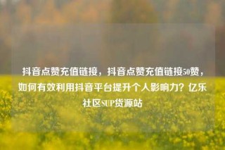 抖音点赞充值链接,抖音点赞充值链接50赞,如何有效利用抖音平台提升个人影响力?亿乐社区SUP货源站