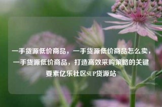 一手货源低价商品,一手货源低价商品怎么卖,一手货源低价商品,打造高效采购策略的关键要素亿乐社区SUP货源站