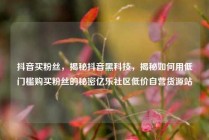 抖音买粉丝，揭秘抖音黑科技，揭秘如何用低门槛购买粉丝的秘密亿乐社区低价自营货源站