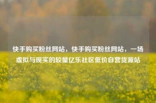 快手购买粉丝网站,快手购买粉丝网站,一场虚拟与现实的较量亿乐社区低价自营货源站