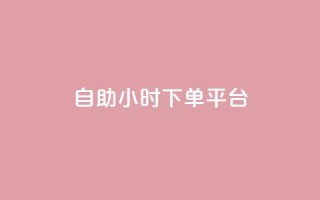 dy自助24小时下单平台 - 24小时下单平台-让您省时省力!