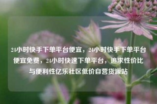 24小时快手下单平台便宜,24小时快手下单平台便宜免费,24小时快速下单平台,追求性价比与便利性亿乐社区低价自营货源站