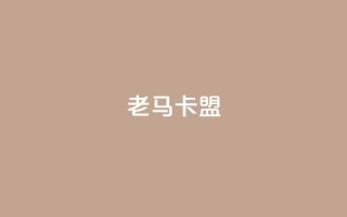 老马卡盟 - 老马卡盟:提升网站SEO效果的有效工具。