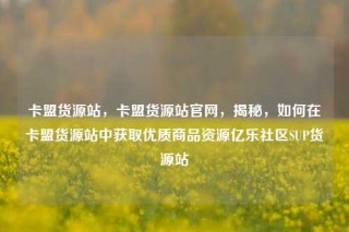 卡盟货源站,卡盟货源站官网,揭秘,如何在卡盟货源站中获取优质商品资源亿乐社区SUP货源站